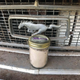 Image for article titled This Barn Find 1968 Ford Mustang Fastback Came With the Ashes of Its Former Owner